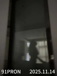 女上木瓜乳淫叫